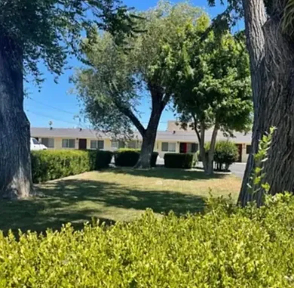 1 bed, 500 sqft, $1,500 — Photo 1