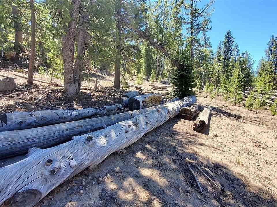 Haight Mount Loop, Macdoel, CA 96058 MLS 20230427 Zillow