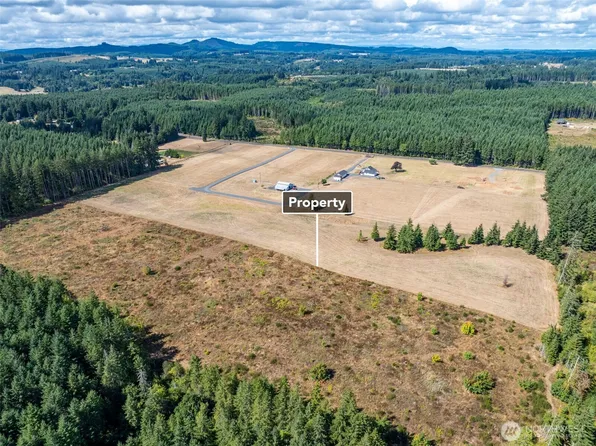 0 Mcglaughlin Road #5, Winlock, WA 98596