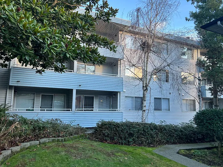 North Court — Photo 1
