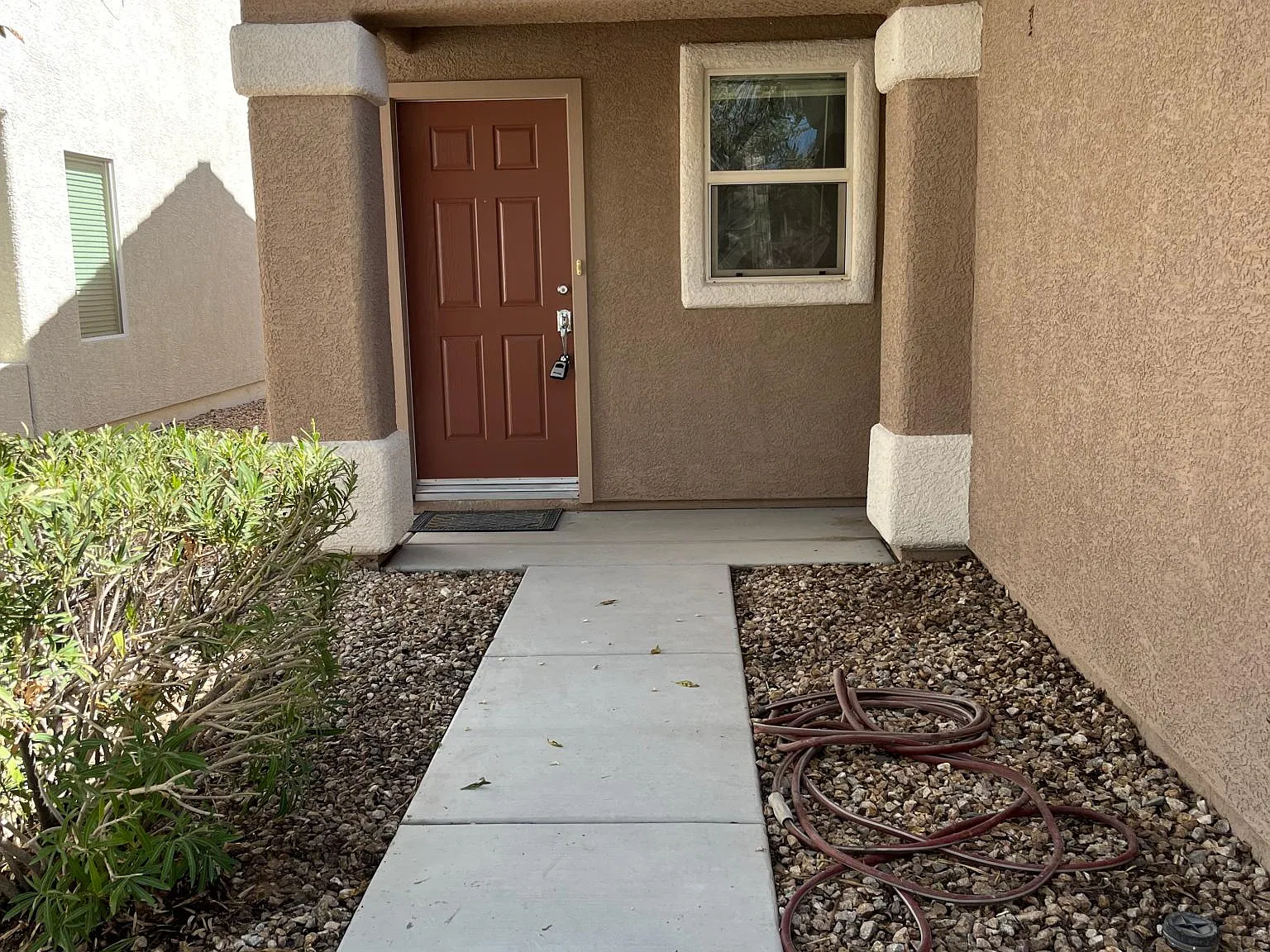 7378 Grassquit St — Photo 3