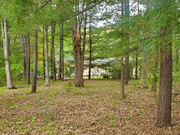 V/l Oakwood Ave, Prudenville, MI 48651