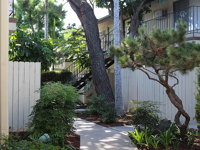 Palm Villa Apartments — Photo 18
