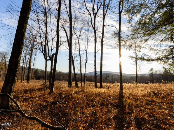 Mitchell St, Hillsdale, NY 12529