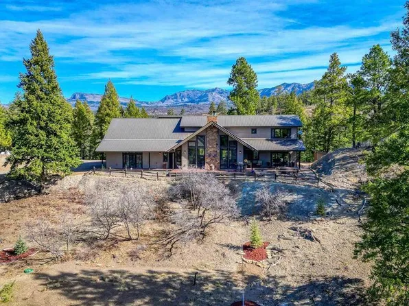 133 W Arbol Park Drive, Pagosa Springs, CO 81147