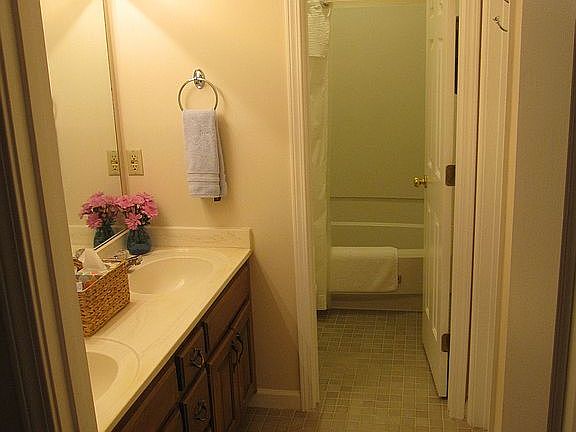 Master bathroom with jacuzzi tub