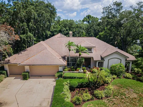 1680 Sparkling Ct, Dunedin, FL 34698