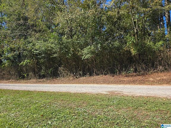 3rd image of LOT 3 Union Hill Church Rd