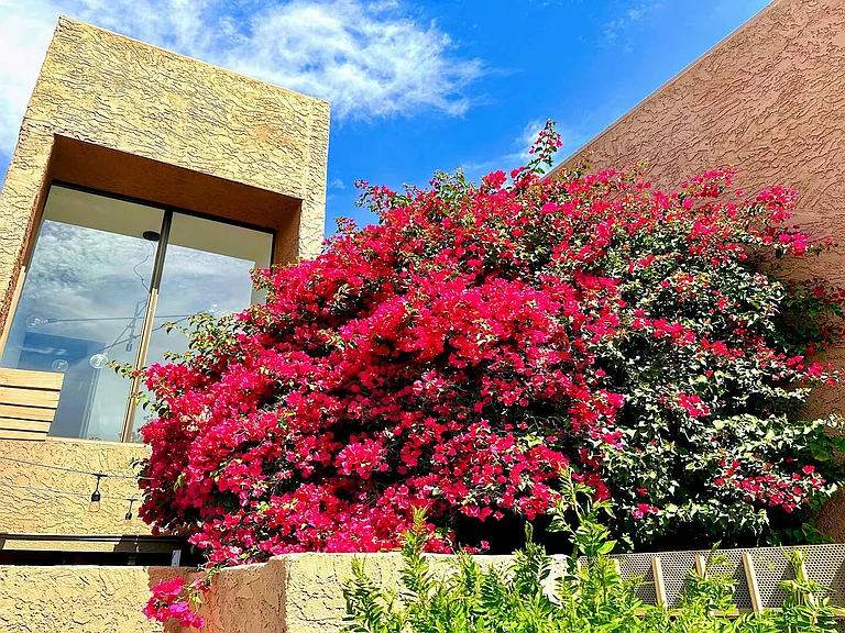 N Scottsdale Rd — Photo 15