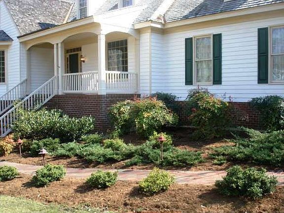 Front Yard