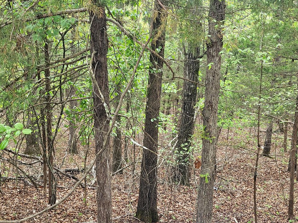 2nd image of 000 Cedar Lane