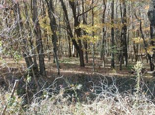 479 El Miner Dr, Mars Hill, NC 28754