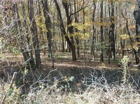 479 El Miner Dr, Mars Hill, NC 28754