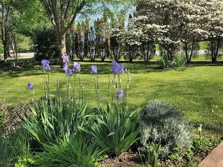 Front yard in the spring.