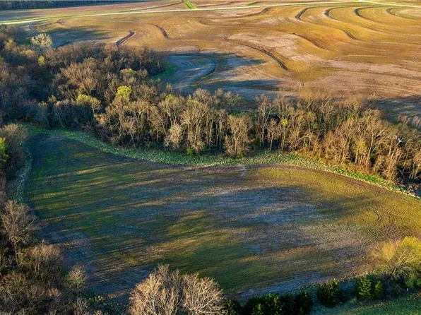 0 Williams Rd, Dearborn, MO 64439