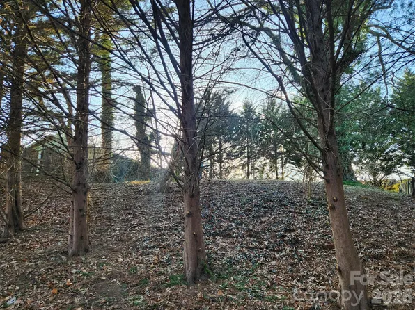 8 John St, Asheville, NC 28801