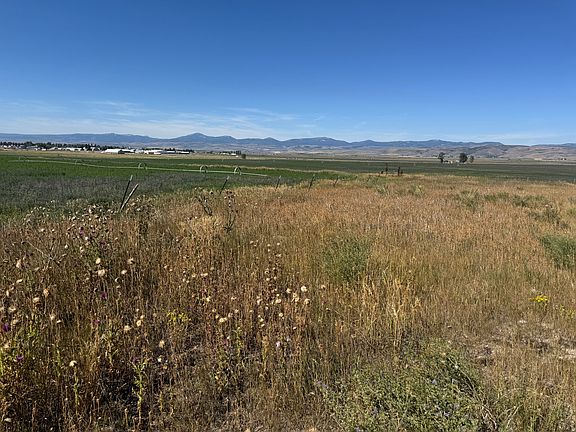 2nd image of 1205 Moose Loop