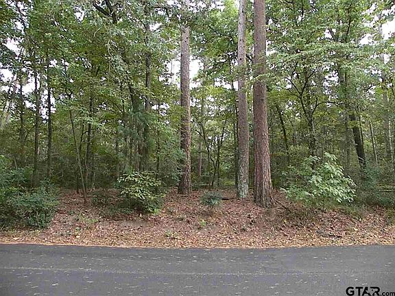 2nd image of LOT 98 W Holly Trl #98