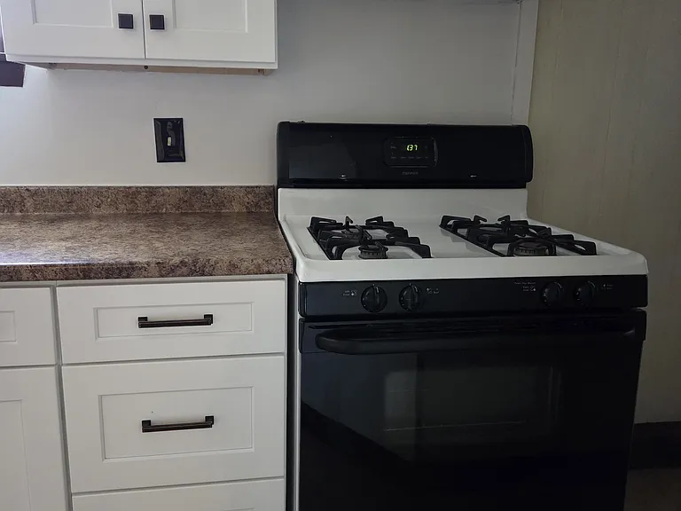 21 W Carpenter St #BASEMENT — Photo 3