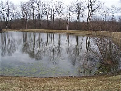 2nd image of 7784 Millikin Rd
