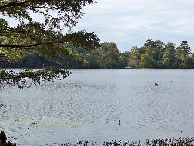 1st image of 111 Bogue Homa Est