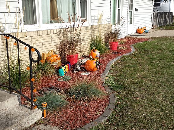 Flower Bed