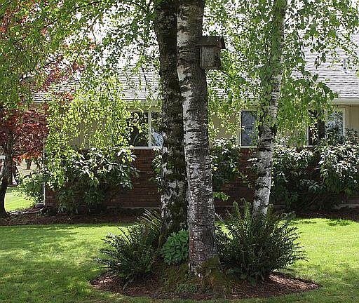 part of the front yard