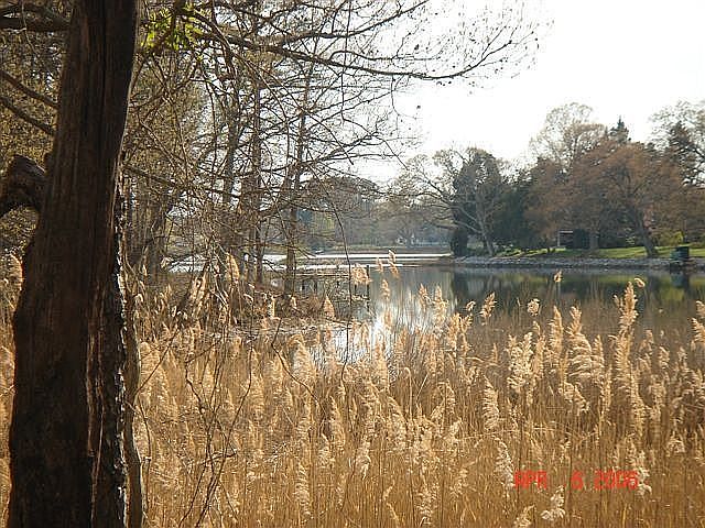 view of waterfront