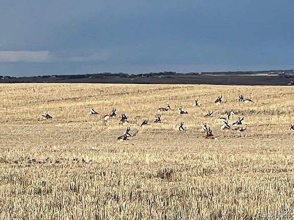 5th image of TBD S. Blaney Road