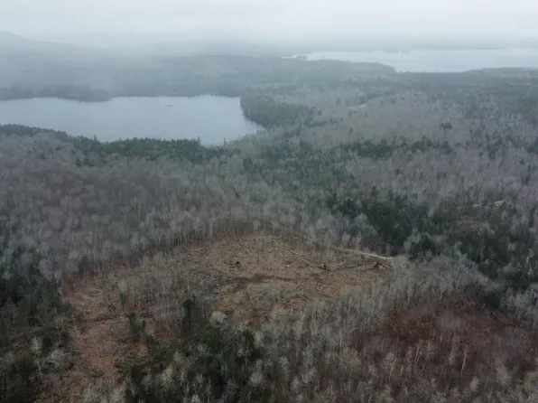 Lot 37 Wedge Heights Road, Orland, ME 04472