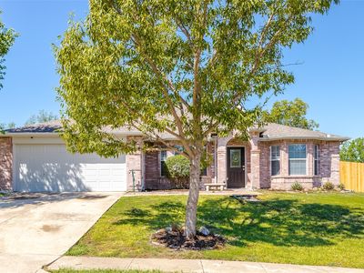 1113 Windsor Ln, Forney, TX, 75126