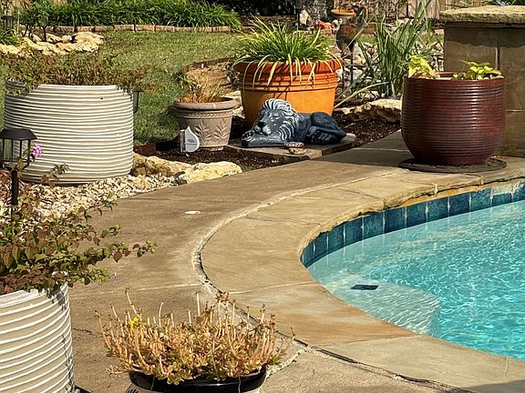 Landscaped pool and yard area