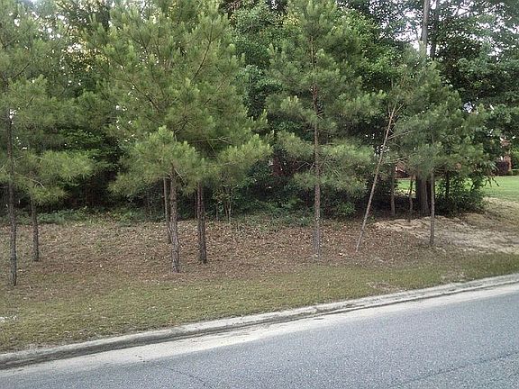 4th image of 124 Golden Oak Dr