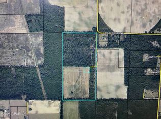 6345 Bullfrog Dr, Bascom, FL 32423