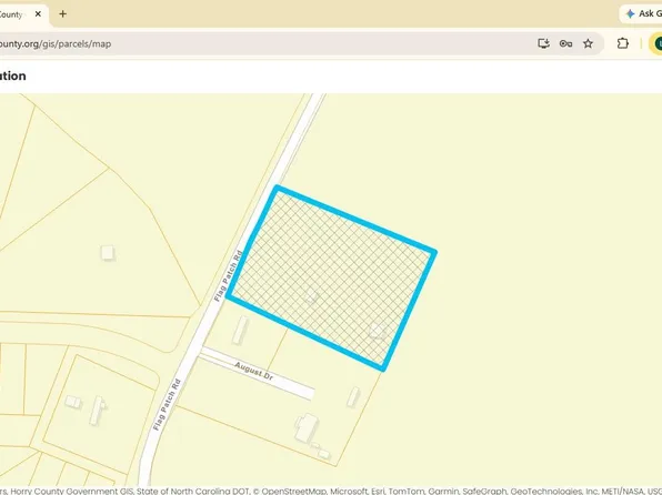 TBD Flag Patch Rd., Loris, SC 29569