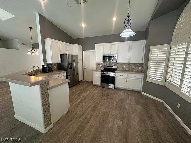 9886 Masked Duck Ave — Photo 9
