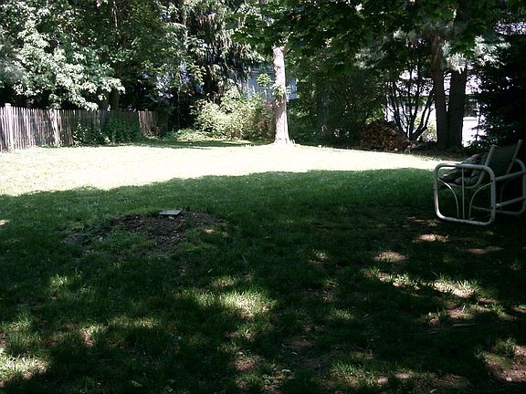 Back yard