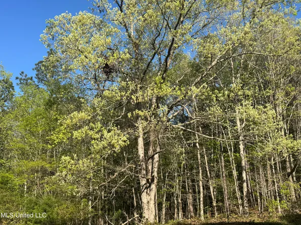 Liberty Church Rd, Ashland, MS 38603