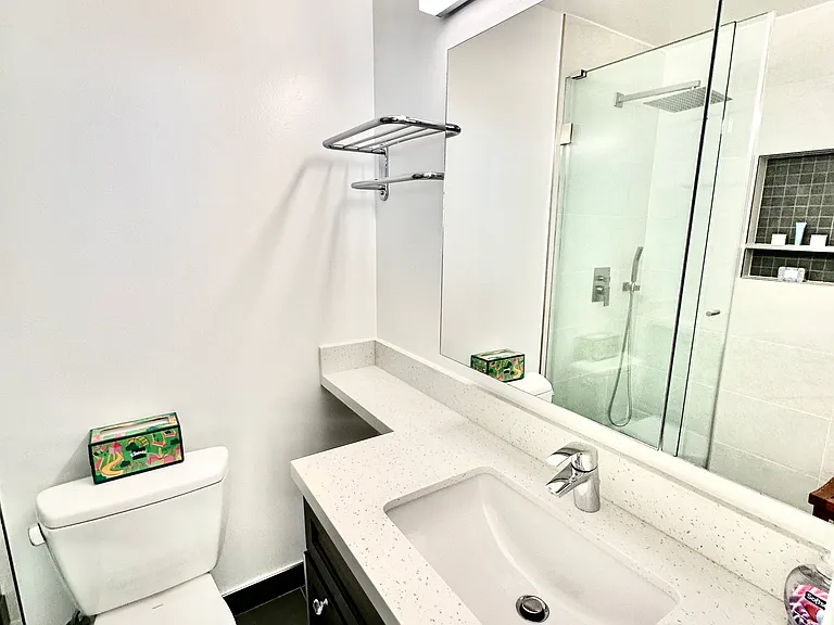 New Quartz Countertop, Bathroom Vanity, Toto Sink & Toilet, Kohler Verdera Medicine Cabinet, LED Lighting