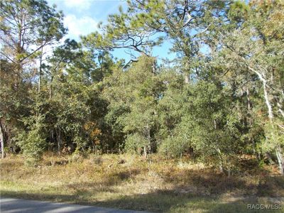 359 W Liberty St, Hernando, FL, 34442