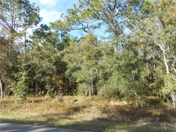 359 W Liberty St, Hernando, FL 34442