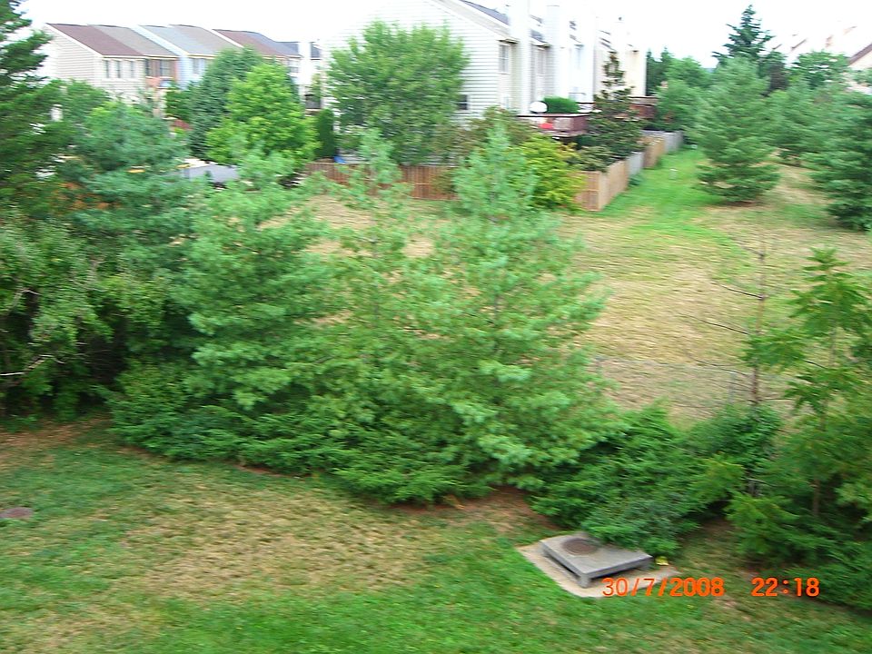 2nd image of 21819 Baldwin Sq #303