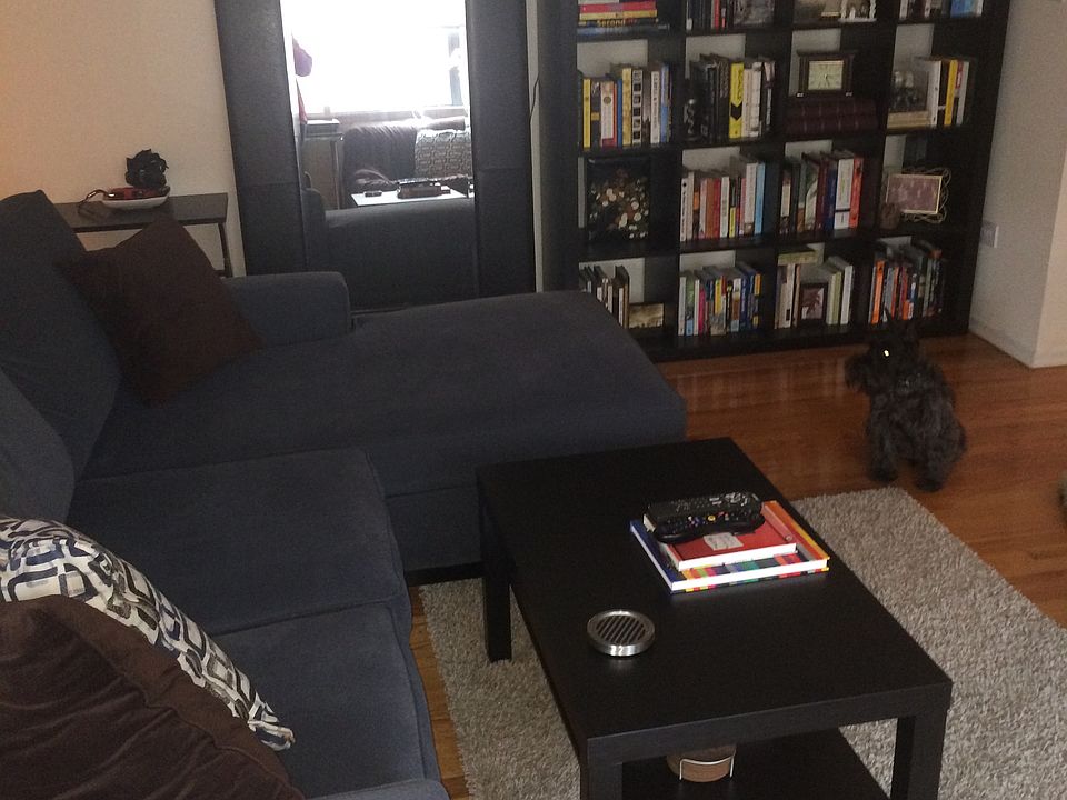 (schnauzer not included)