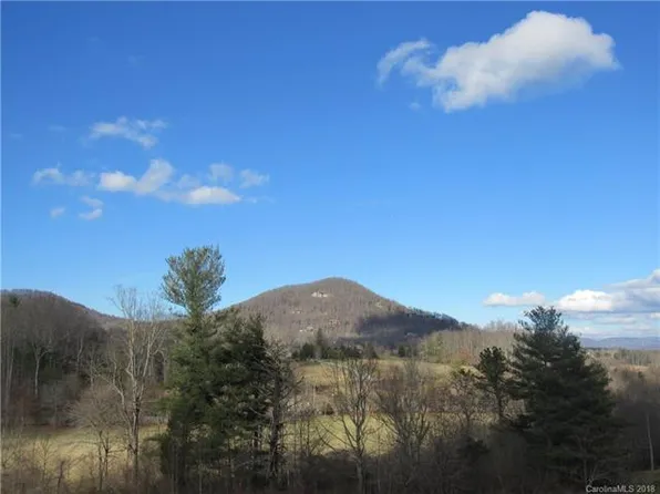 29 Bear Flower Trl, Arden, NC 28704