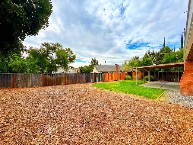 Big Backyard