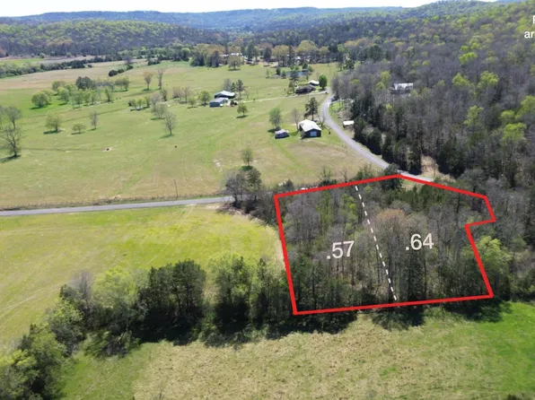 1.21 Thomas Ln, Woodville, AL 35776