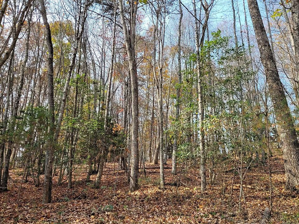 1st image of Wildwood Dr