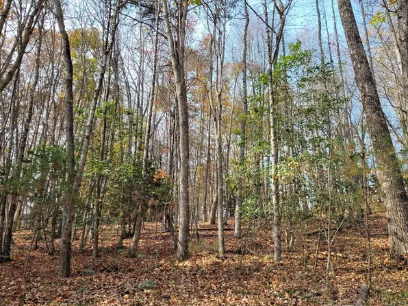 Wildwood Dr, Hayesville, NC 28904