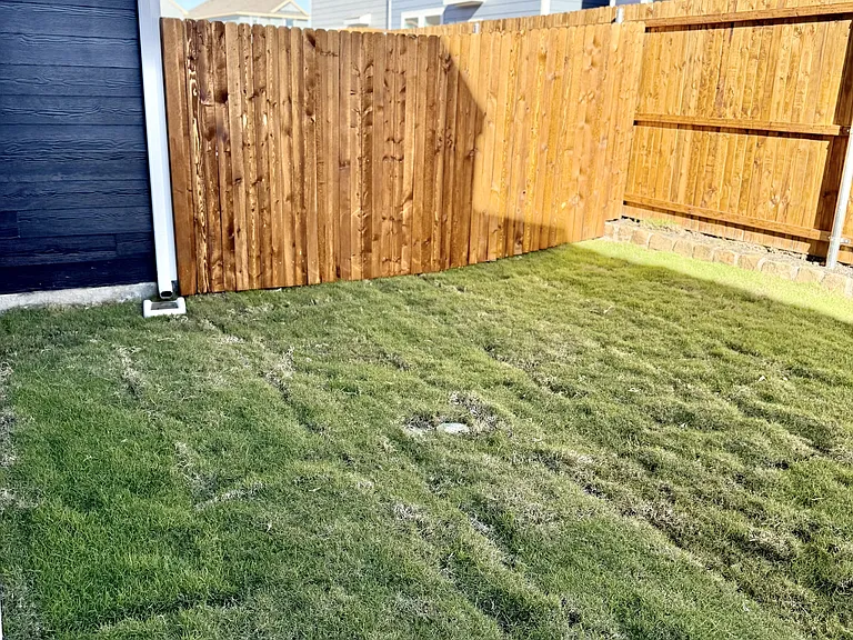 7007 Moonflower Ln — Photo 13