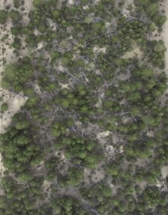 1st image of LOT 10 Two Rivers Rd